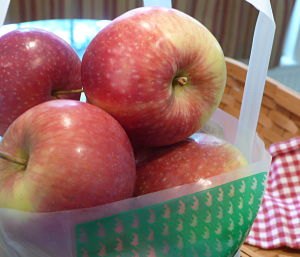 Things to do with kids: Apple Recipes for Kids and Families - Making the Most of Apple Picking Adventures