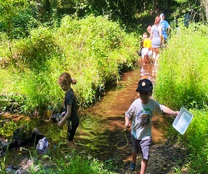 Kids will enjoy exploring the trails and streams at Nature Center. Photo by Lisa Warden