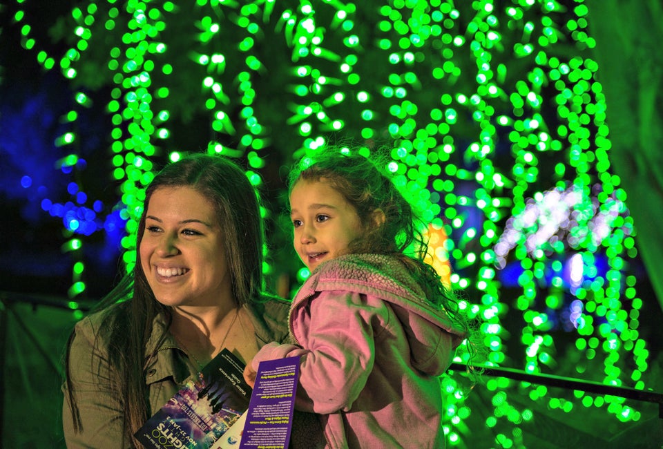 Holiday lights at the Los Angeles Zoo. Photo by Jamie Pham