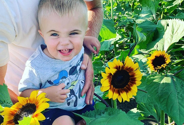 Gorgeous Sunflower Fields for Pick-Your-Own Flowers near Chicago