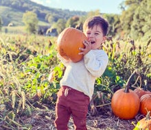 Pick the perfect pumpkin at Great Country Farms.