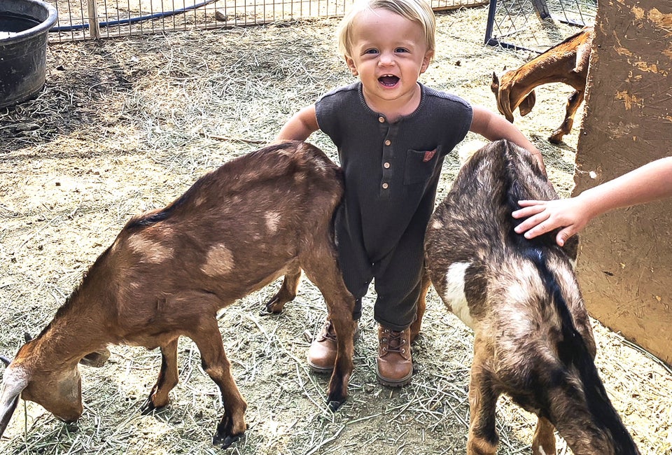 Meet the goats at Gilchrist Farms. Tip: it's more fun when you wear cute boots. Photo courtesy of the farm