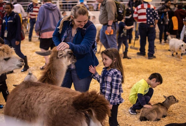Houston Livestock Show and Rodeo