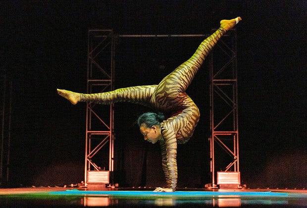 Circus Abyssinia: Contortionist