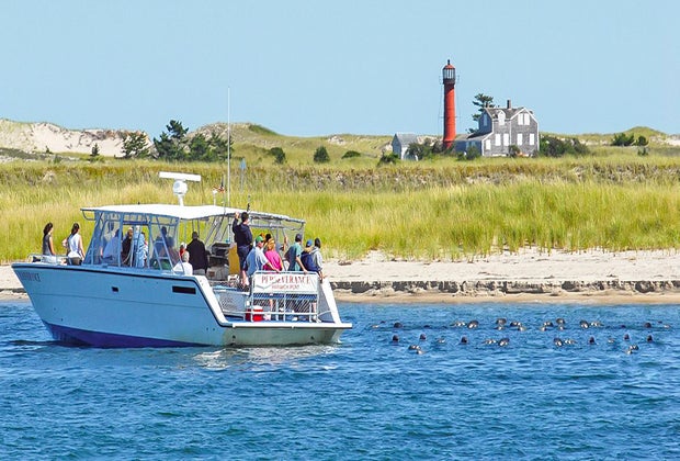 Photo of a Monomoy Island boat tour off Cape Cod.