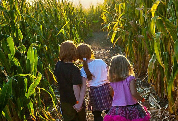 Corn mazes near Chicago: All Season Orchard