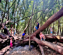 Bonnet Springs Park in Lakeland makes the the perfect outdoor day trip.