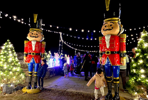 Lumagica Opens at Harvest Moon Orchards