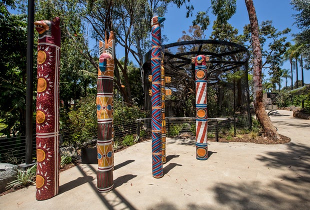 See the San Diego Zoo Like a Local: The Outback