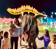 Dino Safari features life-size animatronic dinosaurs, themed rides, interactive experiences, and more.