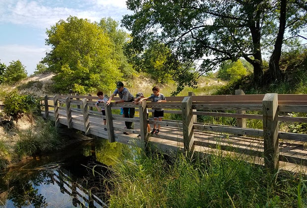 Best Campgrounds for Tent Camping near Chicago: Indiana Dunes