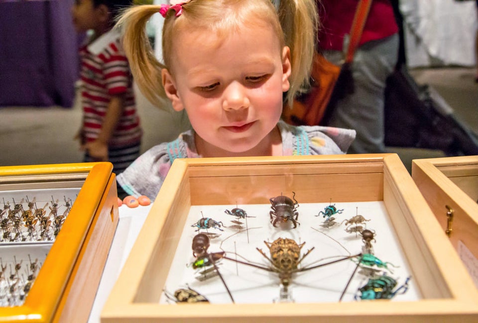 Bugfest. Photo courtesy of Academy of Natural Sciences 