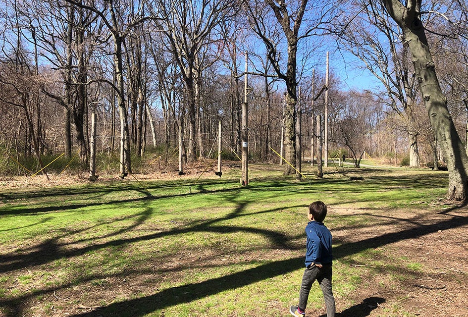Alley Pond Park is spacious and filled with old-growth trees making it easy to forget the urban jungle is just beyond its borders.