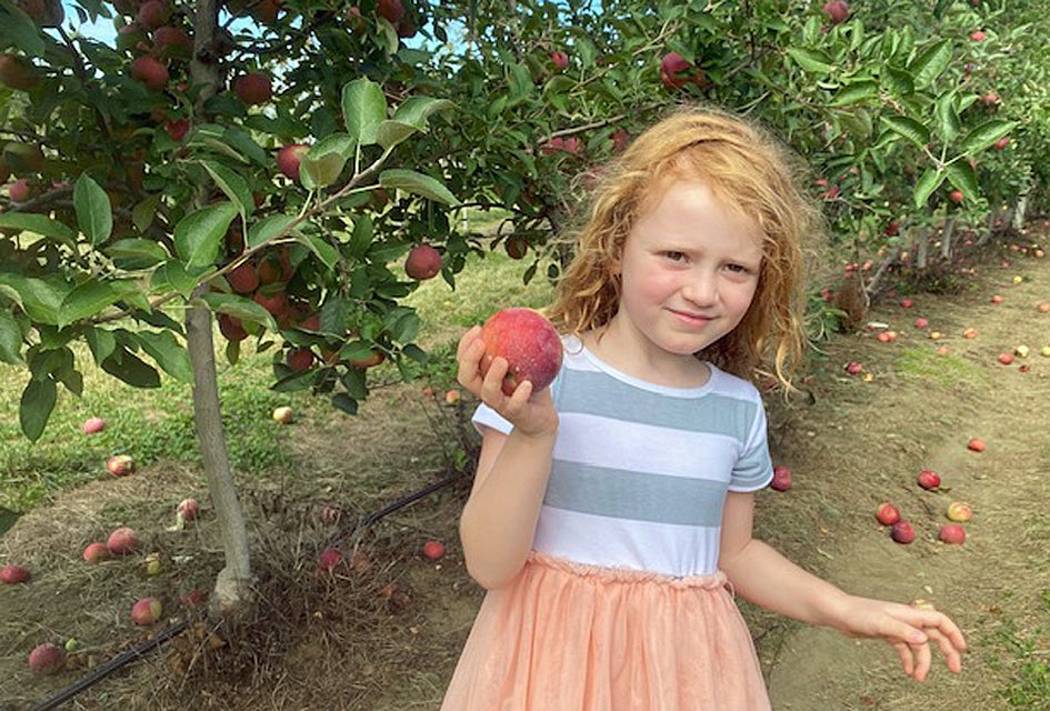 Head to Johnson's Locust Hill Farm for apple picking and tons of fall-themed fun. Photo by Lisa Warden