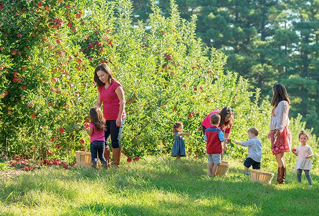 Image of children apple picking near Boston at Smolak Farms.
