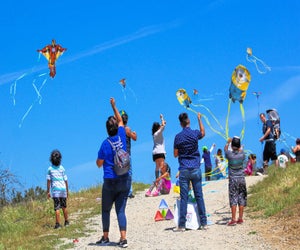 Photo courtesy of Ascot Hills Kite Flying Festival