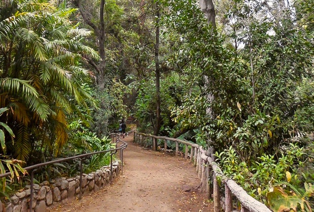 Cool things to do in Los Angeles: Ferndell Trail