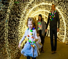 Millions of twinkling lights completely transform the Atlanta Botanical Garden into the magical winter wonderland of Garden Lights, Holiday Nights. Photo courtesy of the garden