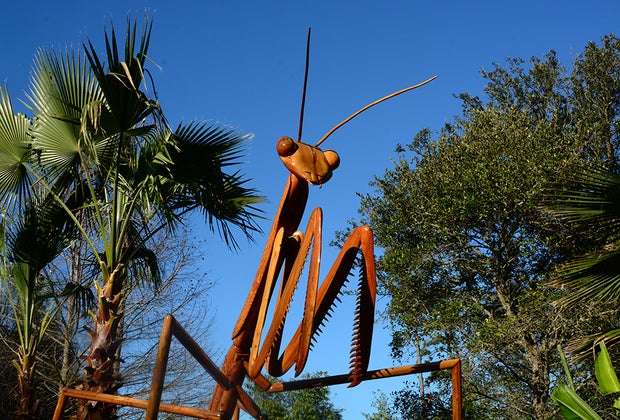 100 Fun Things To Do in Atlanta with Kids Before They Grow Up: :  Fernbank Museum