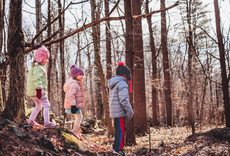 Enjoy a guided walk around the sanctuary in search of beavers. Photo courtesy of Mass Audubon Stony Brook