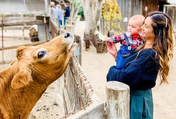 Road Trip on the PCH: Avila Valley Barn