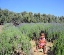 Who doesn't want to relax in a sea of blooms?