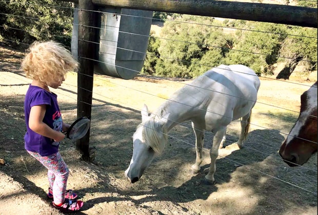 California Vacation Home Rentals for Families: Stay on a working horse ranch.