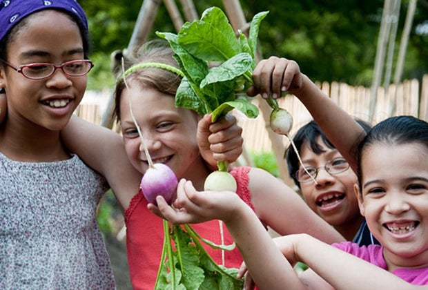 Things to do in Battery Park kids at the Urban Farm