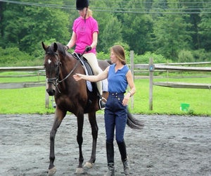 Photo courtesy of Biamonte Stables