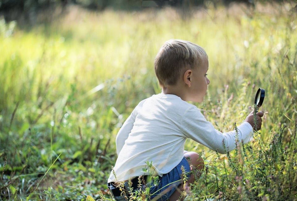 Go on a meadow bug hunt this weekend!