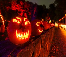 The Great Jack-o'-Lantern Blaze returns to Van Cortlandt Manor for its 20th anniversary season.