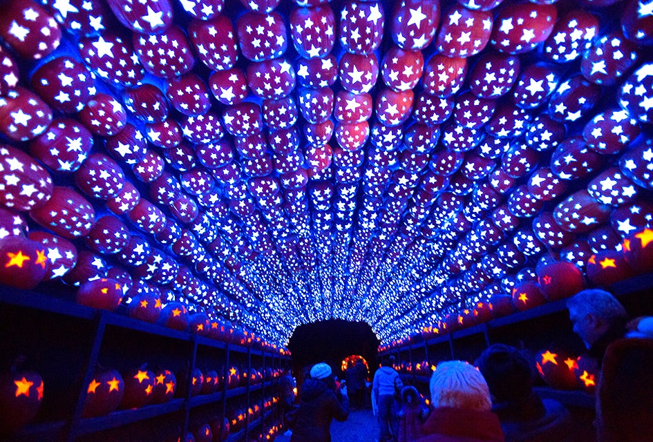 The Great Jack-o-Lantern Blaze is a bucket list item for area families. Photo courtesy of Historic Hudson Valley