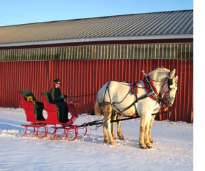 Take a horse-drawn wagon ride across the snowy fields. Photo courtesy of Blue Slope Country Museum 