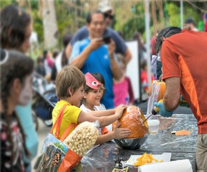 Learn from the pros at the LA Zoo's pumpkin carving stations. Photo by Jamie Pham