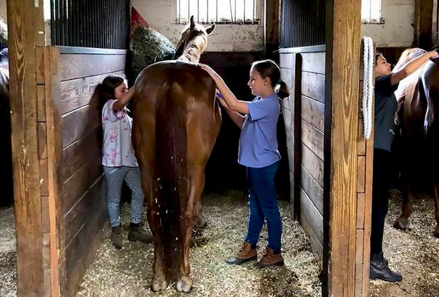 Bronx Equestrian Center: Horseback Riding in NYC