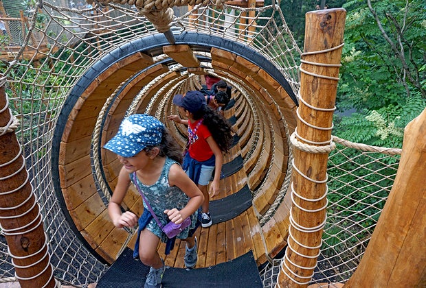 Things to do in NYC this summer: Bronx Zoo