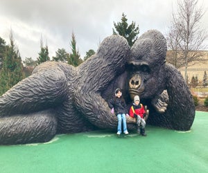 You can easily spend all day at Brookfield Zoo Chicago. Photo by the author