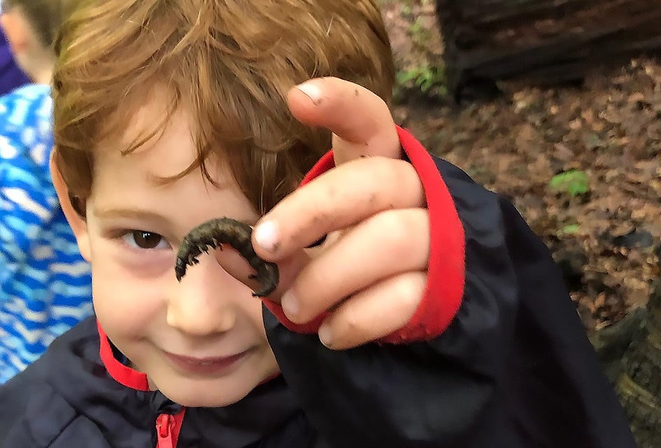 Learn all about insects at the Greenburgh Nature Center on Saturday, November 16. Photo courtesy of the center