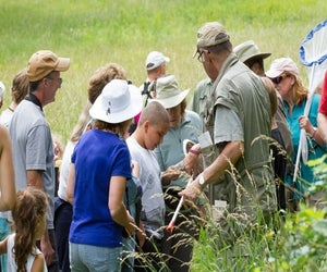 Butterfly Hunt. Photo courtesy of Cedar Hill Foundation