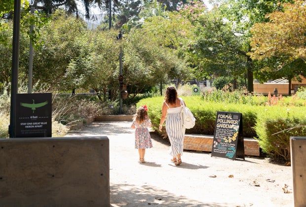 The Butterfly Pavilion Ushers in Spring at the Natural History Museum