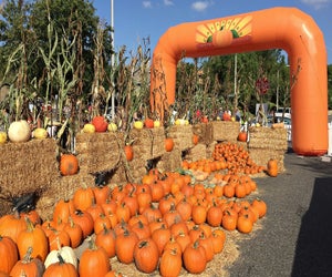 Photo courtesy of City of Calabasas