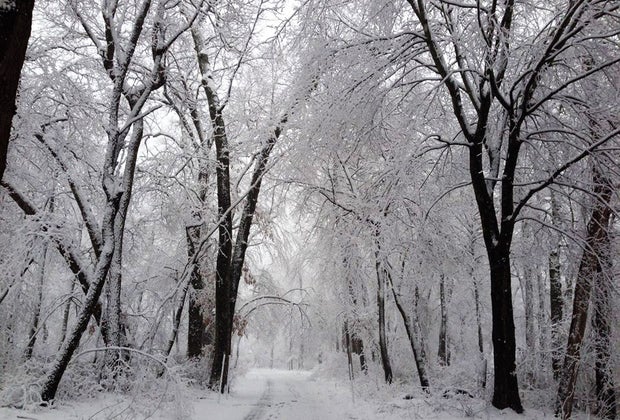 Caleb Smith State Park Cross-Country Skiing Near NYC