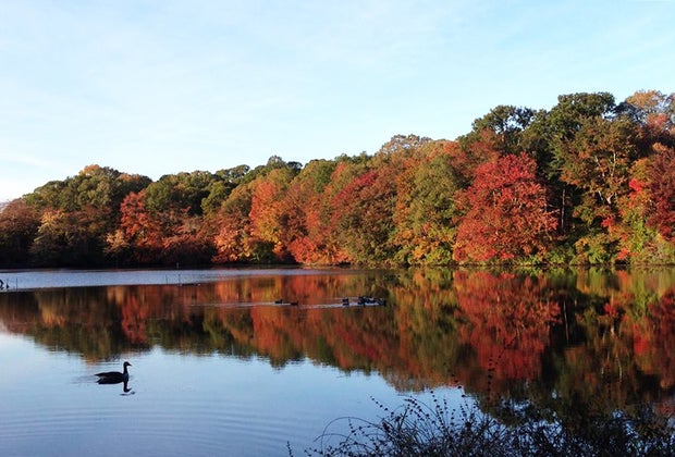 Willow Lake at Caleb Smith State Park Preserve