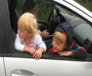 Woah, did you see all those cows? Photo by Roberta Brown