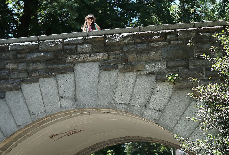 Gaze at the beautiful 15-acre  Carl Schurz Park from atop the bridge. 