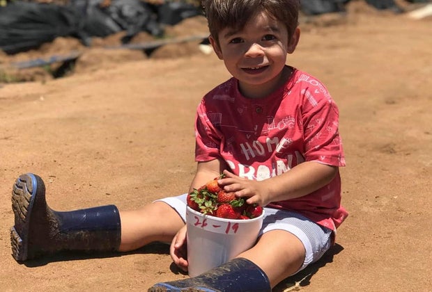Strawberry Picking Near Los Angeles: Carlsbad Strawberry Company