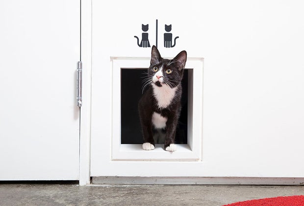 Family-friendly restaurants in NYC with entertainment for kids: koneko