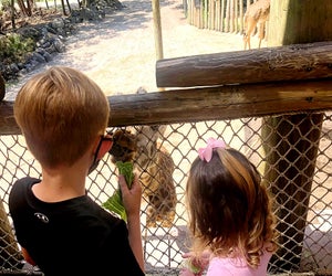 For all of September, Florida resident kids can get in free at Brevard Zoo! Photo by author