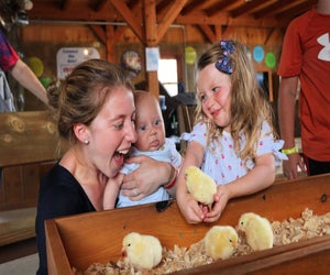 Kids can hang with the barnyard animals at Cherry Crest Adventure Farm. Photo courtesy the farm