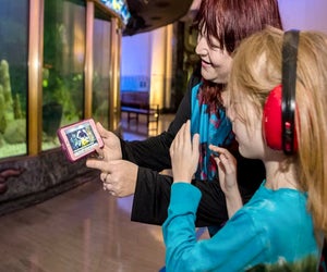 Calm Waters is a sensory-friendly event at Shedd Aquarium. Photo courtesy of the Shedd Aquarium 